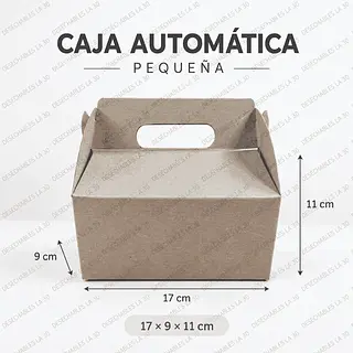 Caja Automática Pequeña Kraft Con Asa 17 X 9 X 11 Cm